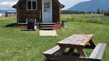 A wooden cabin with a picnic table in a grassy field, a door, and a window.
