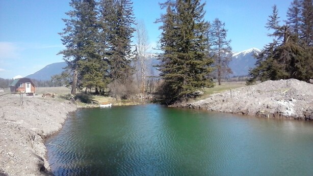 A serene lake surrounded by tall trees and a mountain in the background. - Vacation Cabin On 5 Acres With Pond . Sleeps 3 (kalispell)