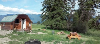 Vacation Cabin On 5 Acres With Pond . Sleeps 3