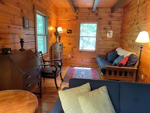 Smart TV, fireplace, video games, DVD player