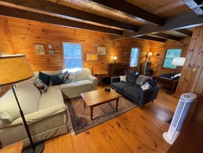 Smart TV, fireplace, video games, DVD player