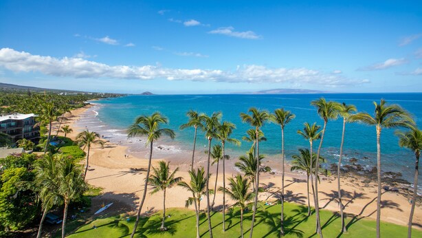 A beach with palm trees, a clear blue sky, and a view of the ocean. - Sale!! Gorgeous 3BR 2BA Villa in Wailea, With Ocean, Golf and Sunset Views (Kihei)