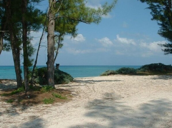 Enjoy a serene beach experience with access to the calm sea and a natural, tranquil environment.