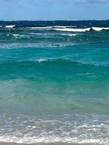 Victoria's Island House -