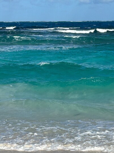 Victoria's Island House -