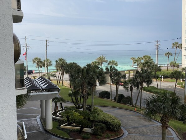A view of a coastal area with palm trees, a road, and a building with a curved roof.