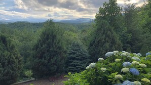 A lush landscape with dense greenery and a bench overlooking a forested area. - Buck Mountain Getaway - Stunning views, hot tub, fireplace. Nearby Boone. (Purlear)