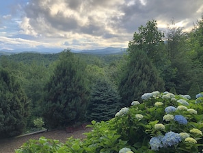 A lush landscape with dense greenery and a bench overlooking a forested area.