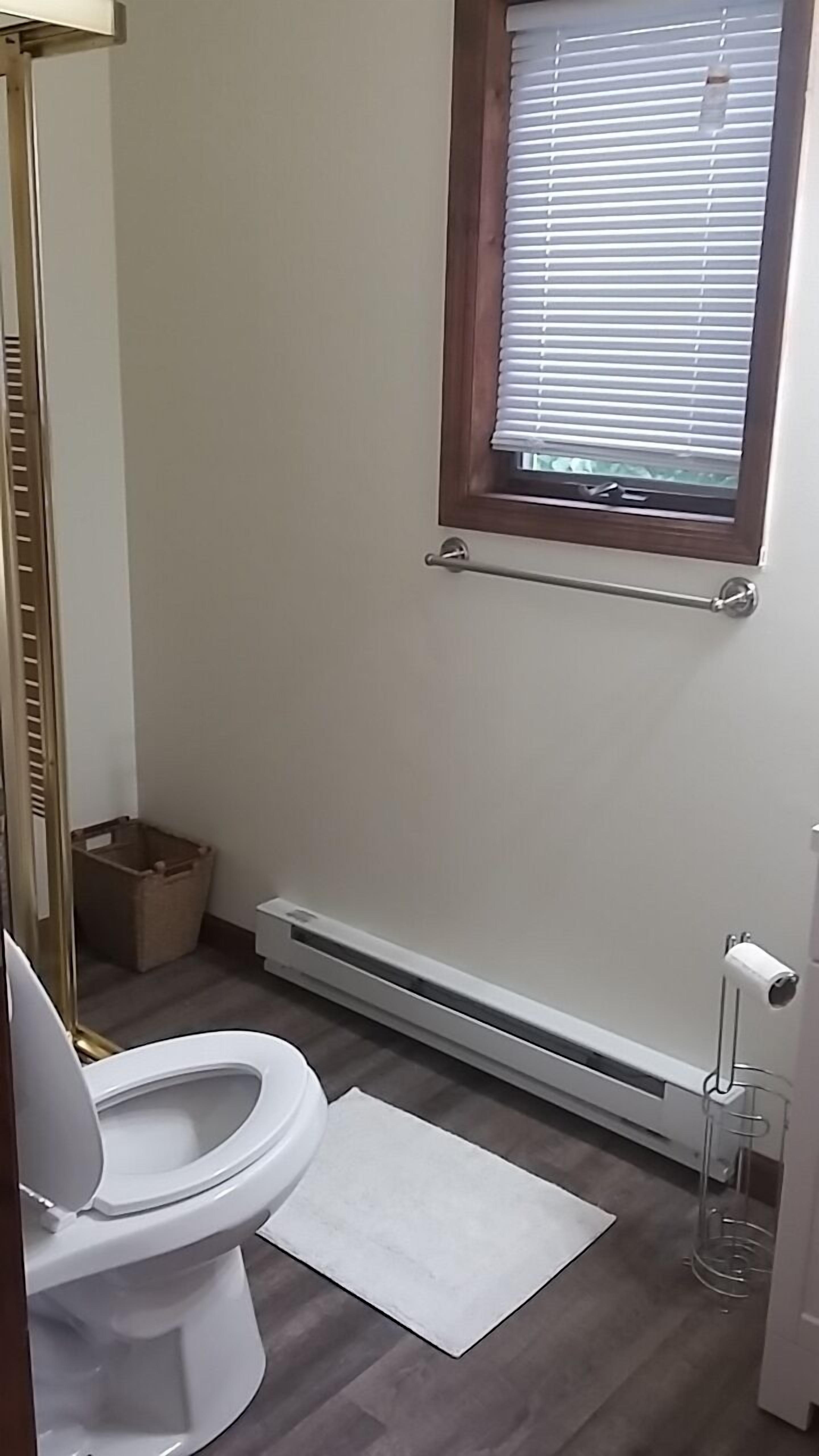 Enjoy Spring Skiing -5 min to Hunter Mtn (now owned by VAIL)  5 BDRM House