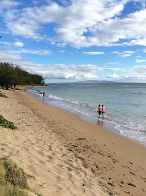 Plage, chaises longues, serviettes de plage