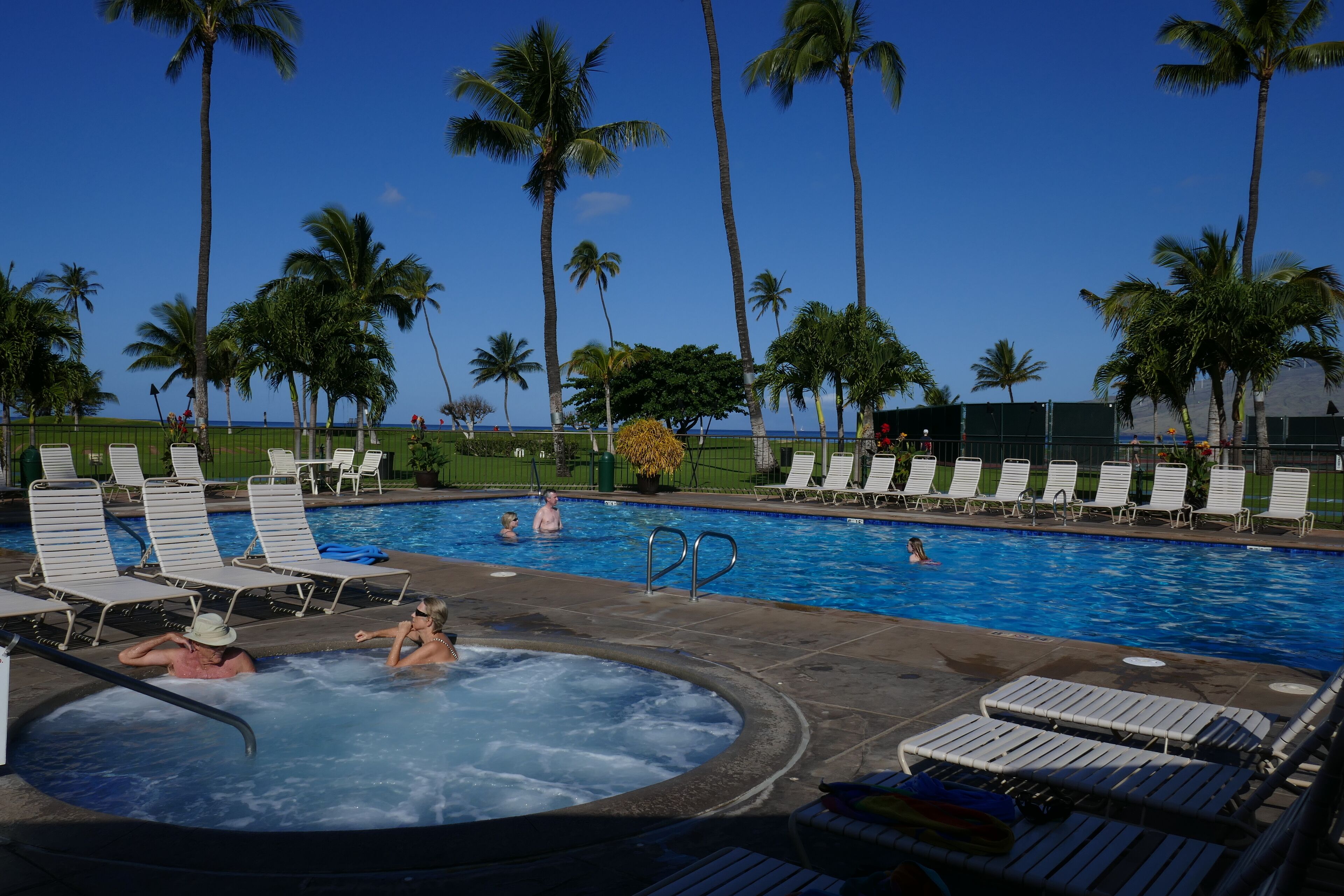 Un espace piscine doté de chaises longues et d’un jacuzzi, le tout entouré de palmiers.