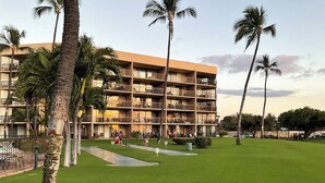 Een meerhoog hotel met balkons, een verzorgd gazon en palmbomen.