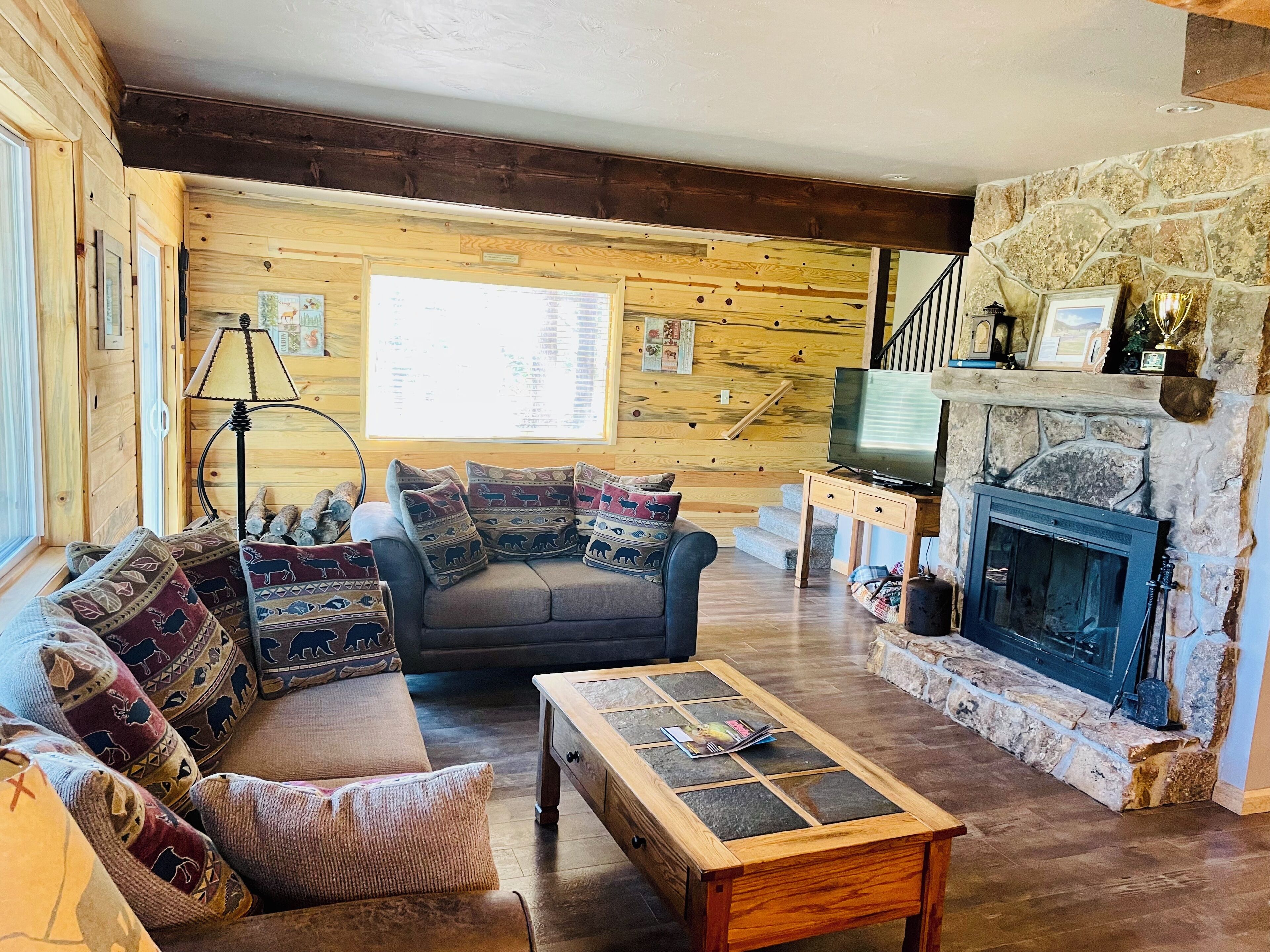 TV connectée, cheminée, lecteur de DVD, livres