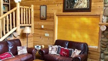 Smart TV, lareira, DVD player, livros