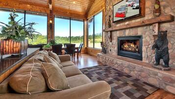 Smart TV, chimenea, videojuegos y reproductor de DVD