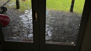 Une vue à travers une porte vitrée, avec un chemin de pierres menant à une zone herbeuse.