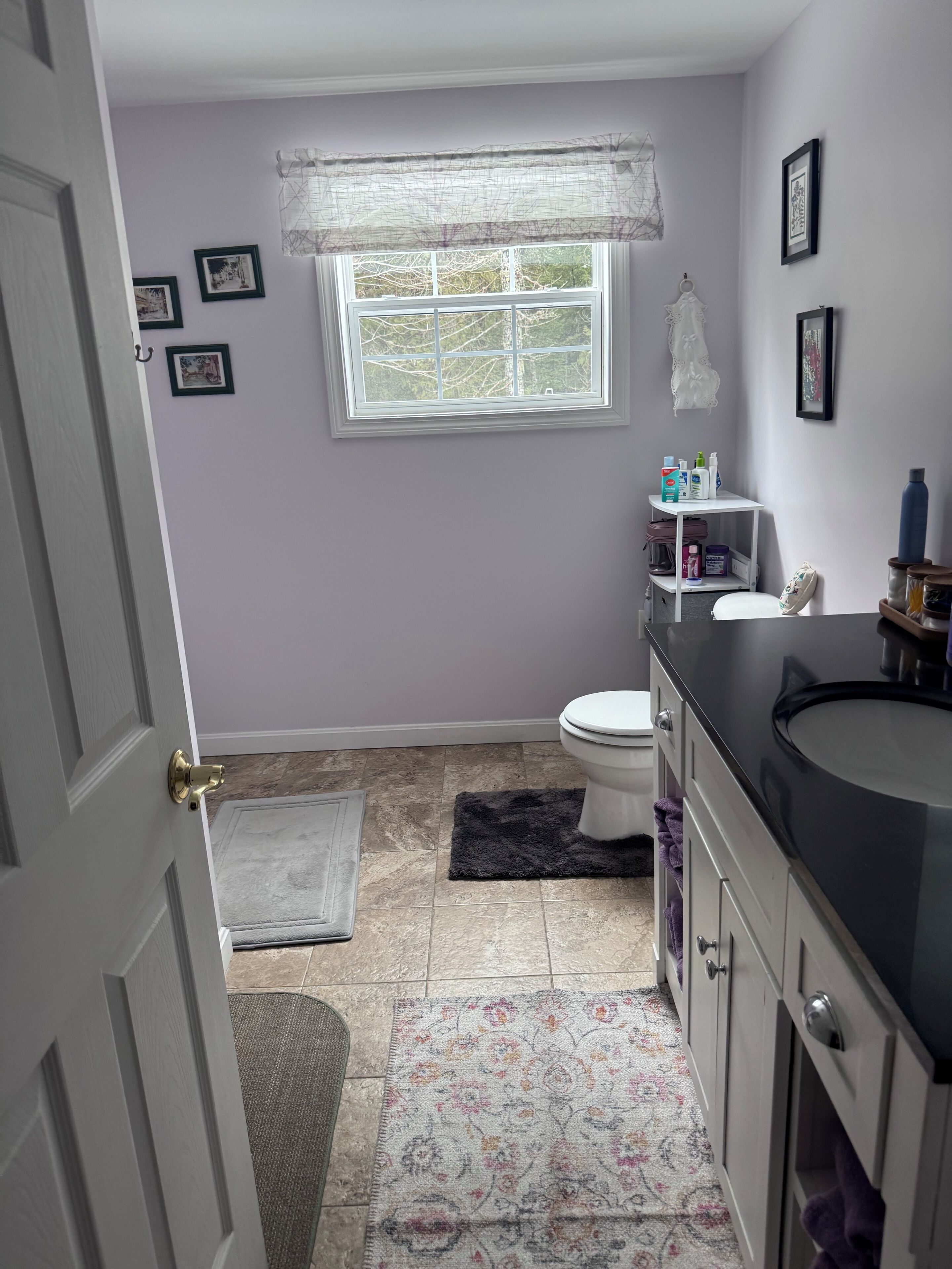 Un baño con inodoro, lavabo y ventana. Hay cuadros enmarcados en la pared, una alfombra en el suelo y una estantería con artículos de aseo.