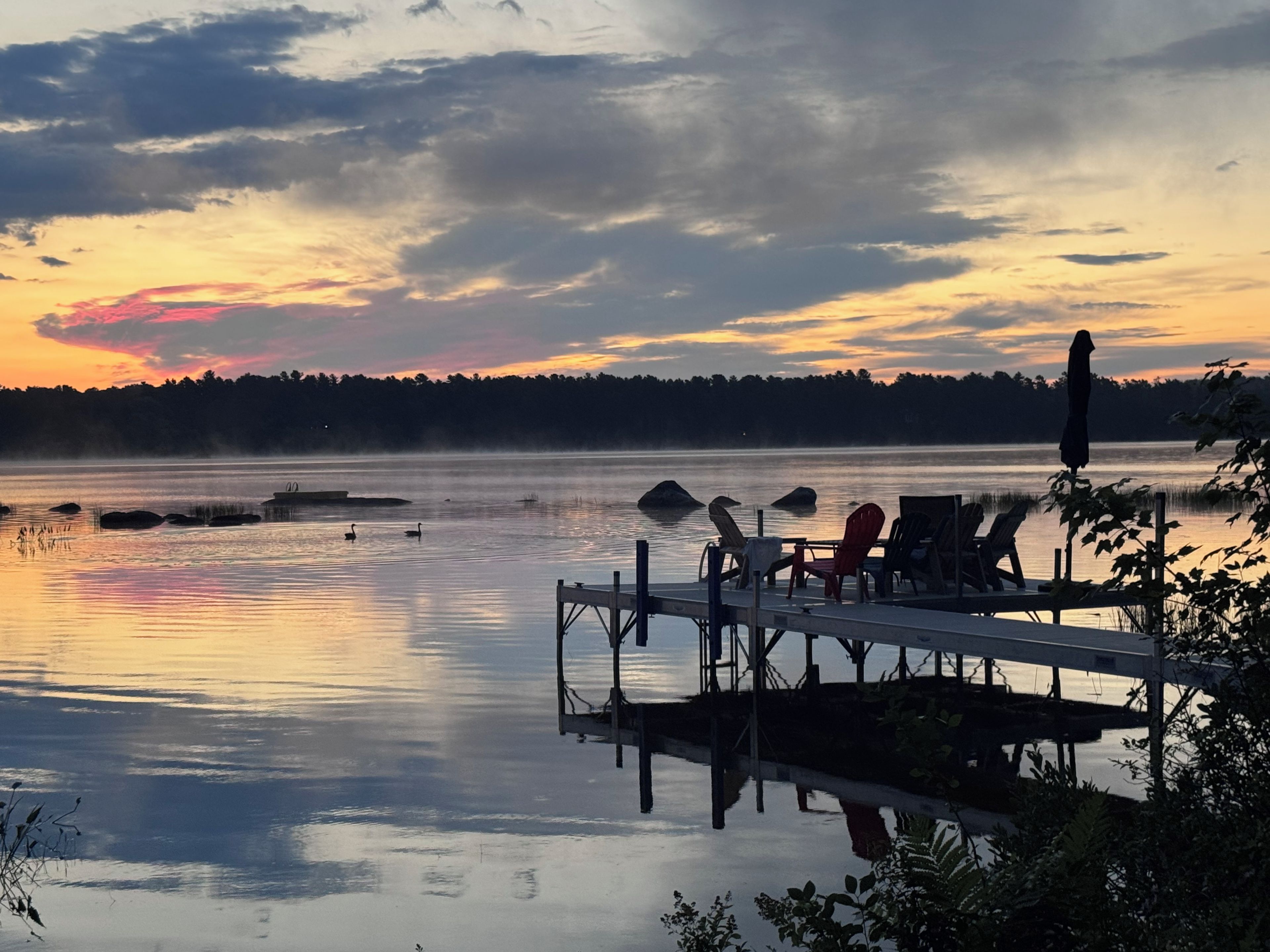 Miscellaneous
