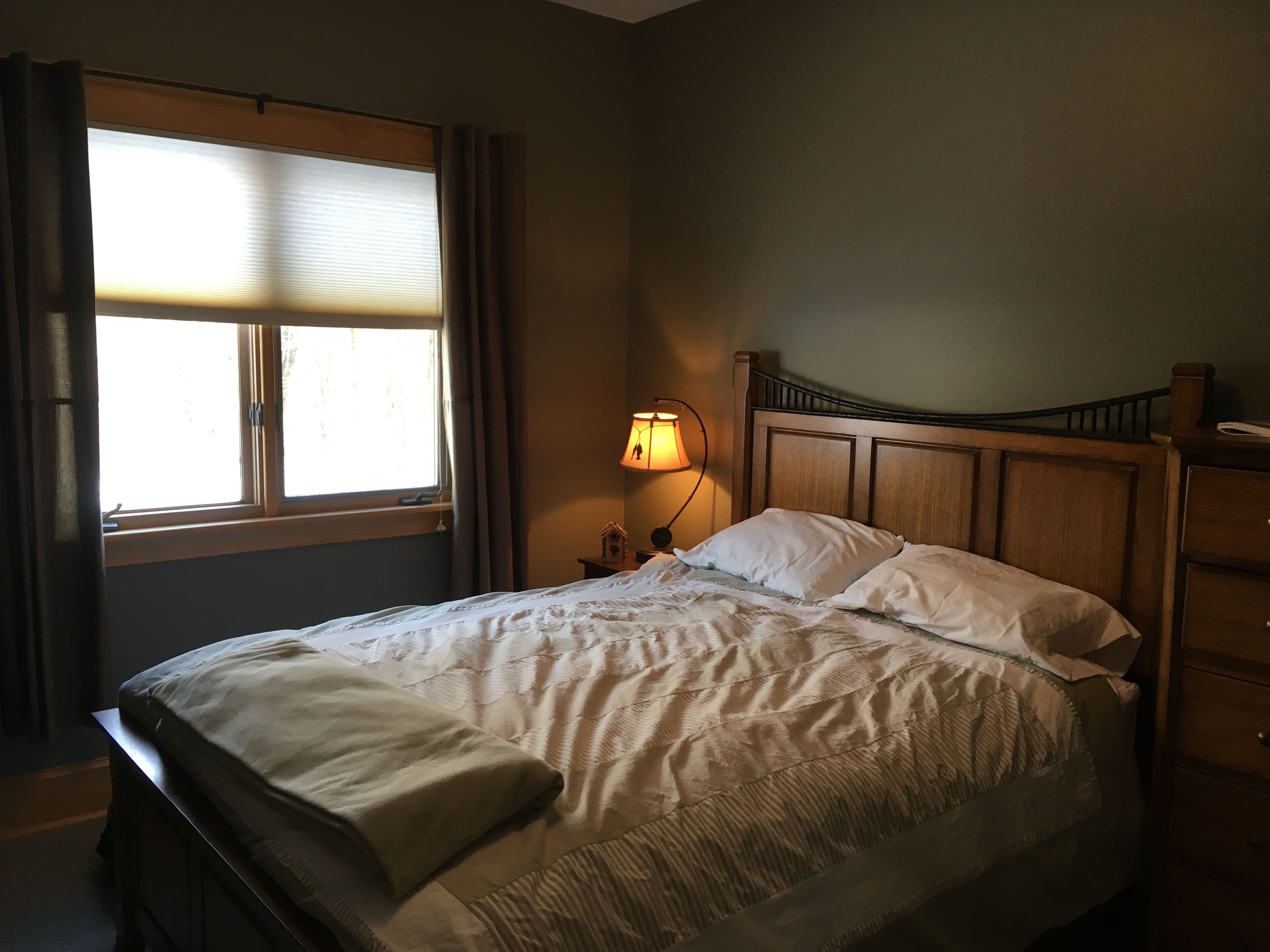 House in Ellicottville near Slopes. 30 acres overlooking pond. Summertime too!