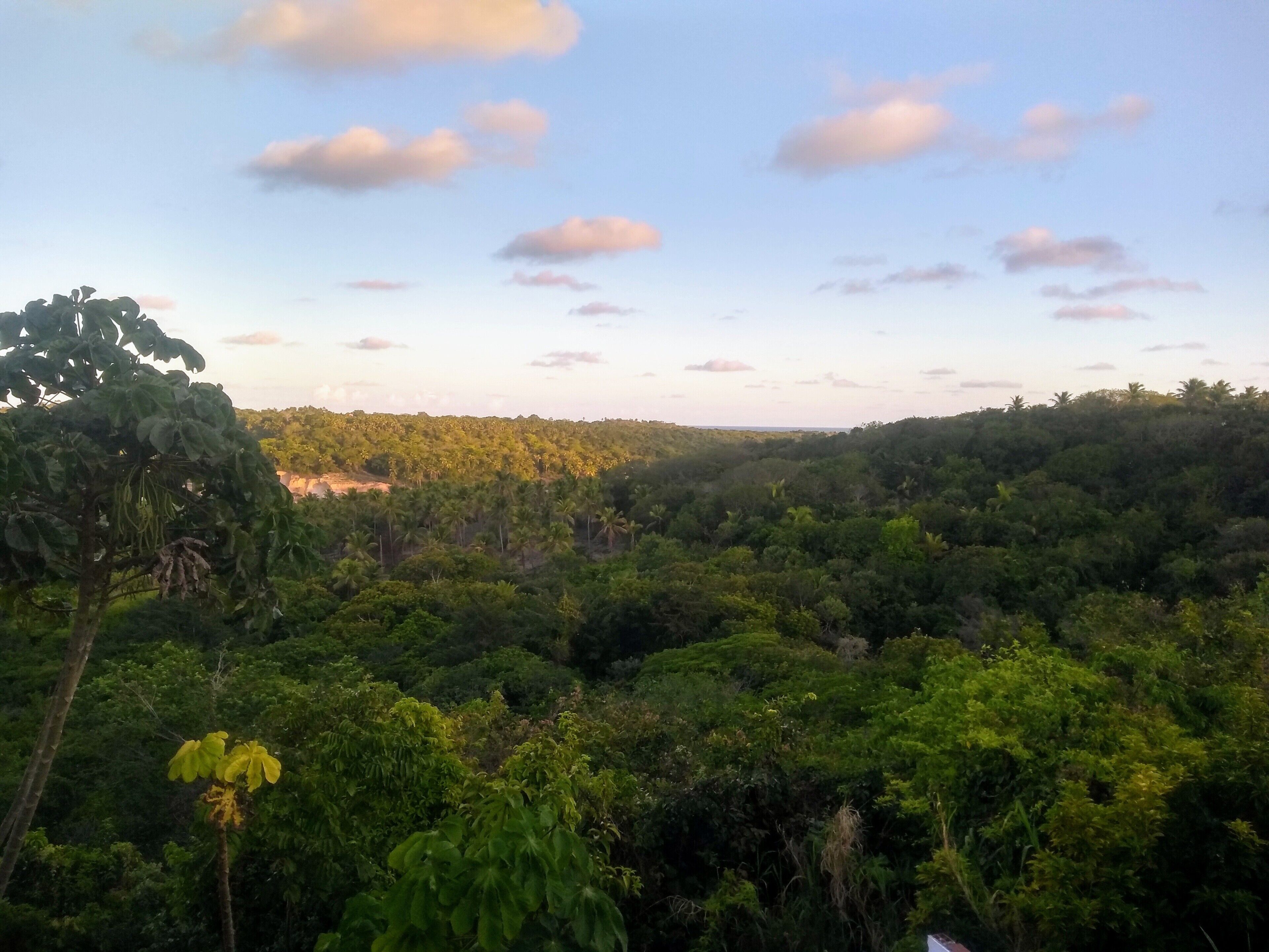 Homes in Vila Velha Itamaracá