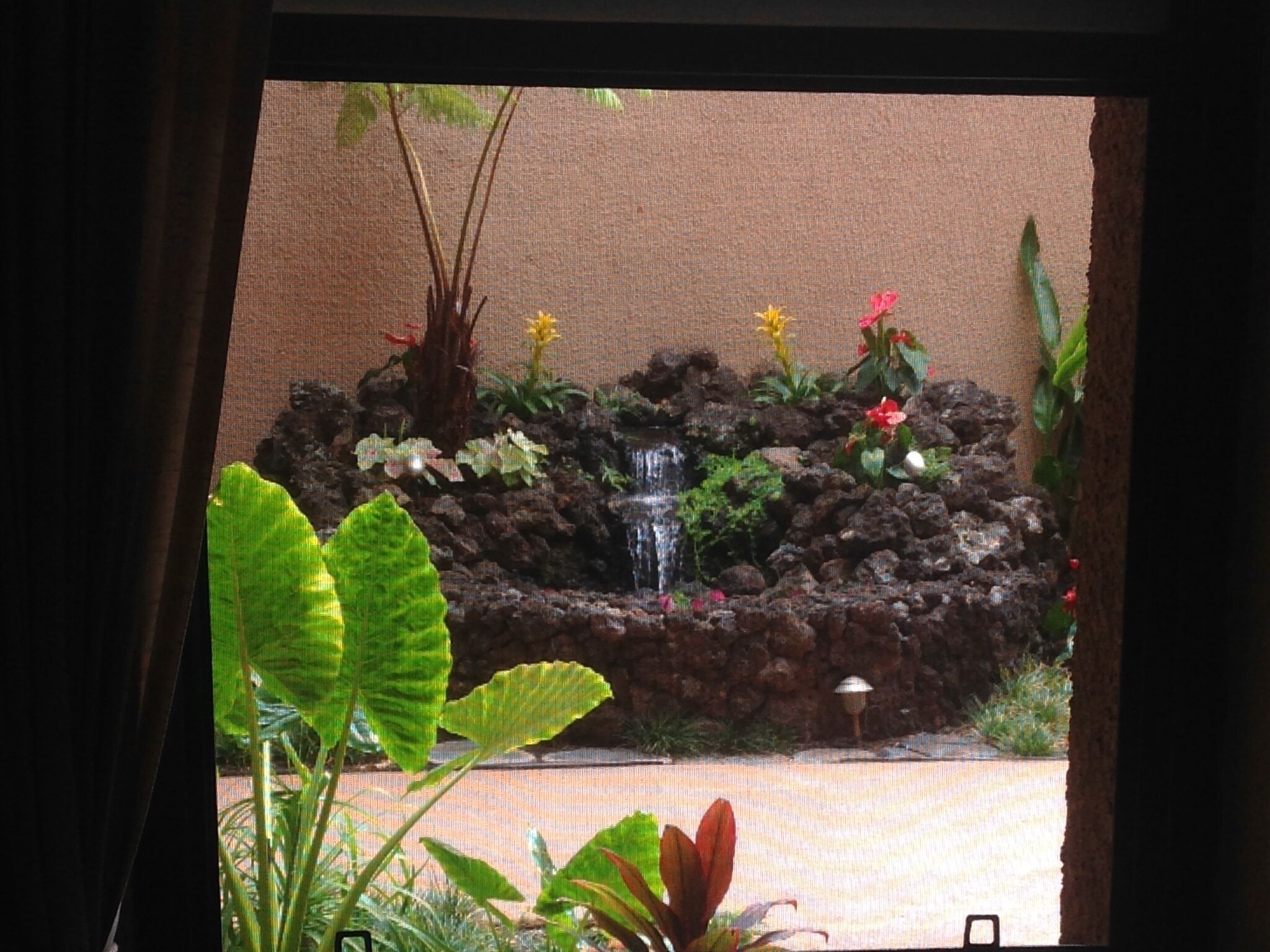 Ein Felsengarten mit einem kleinen Wasserfall, verschiedenen Pflanzen und Blumen.