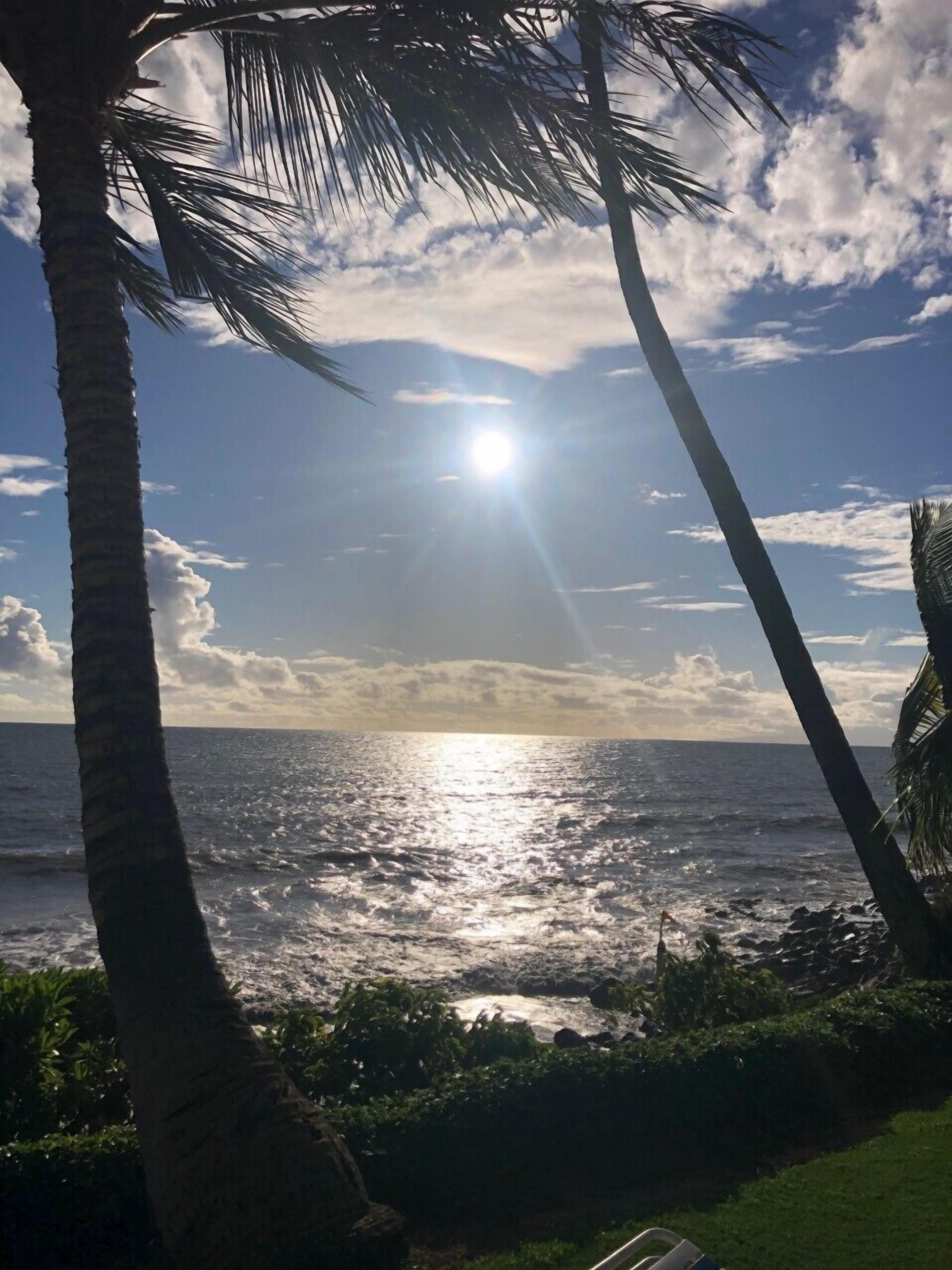 靠近海滩、沙滩椅、沙滩毛巾