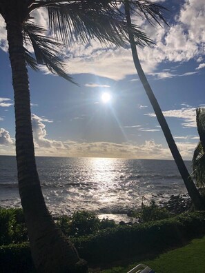 A beach scene with palm trees and the ocean. - Oooh! Oooh! Pick Us! Steps to the Beach Newly Renovated Ground Unit! (Kihei)