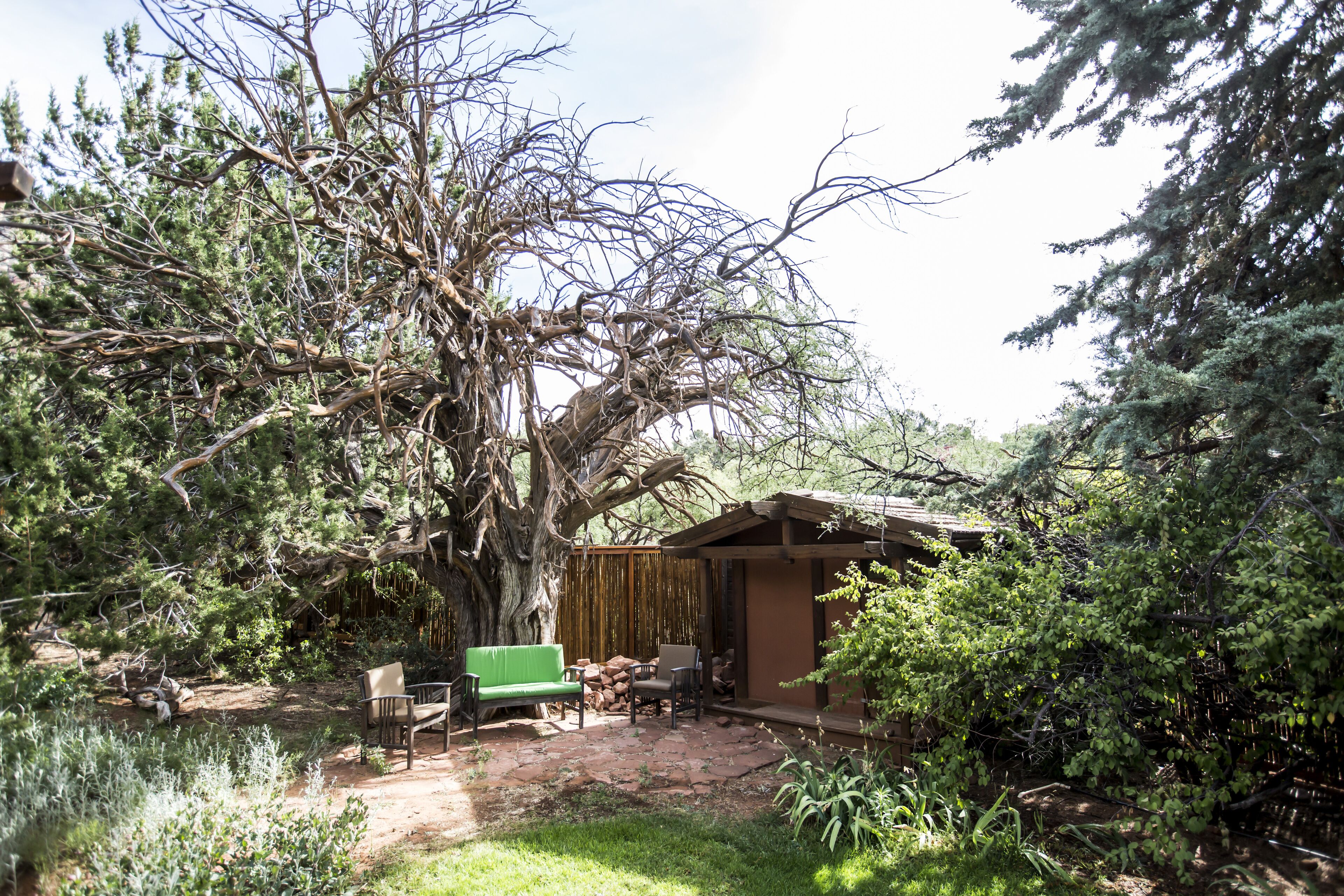 A rustic outdoor seating area with a wooden pergola, a green bench, and a small table.