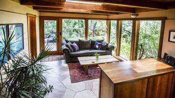 Smart TV, fireplace, DVD player, books