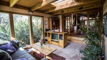 Smart TV, fireplace, DVD player, books