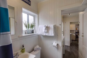 Combined shower/tub, hair dryer