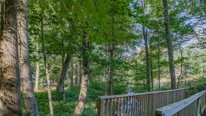 A wooden bridge in a forested area with dense trees and greenery.