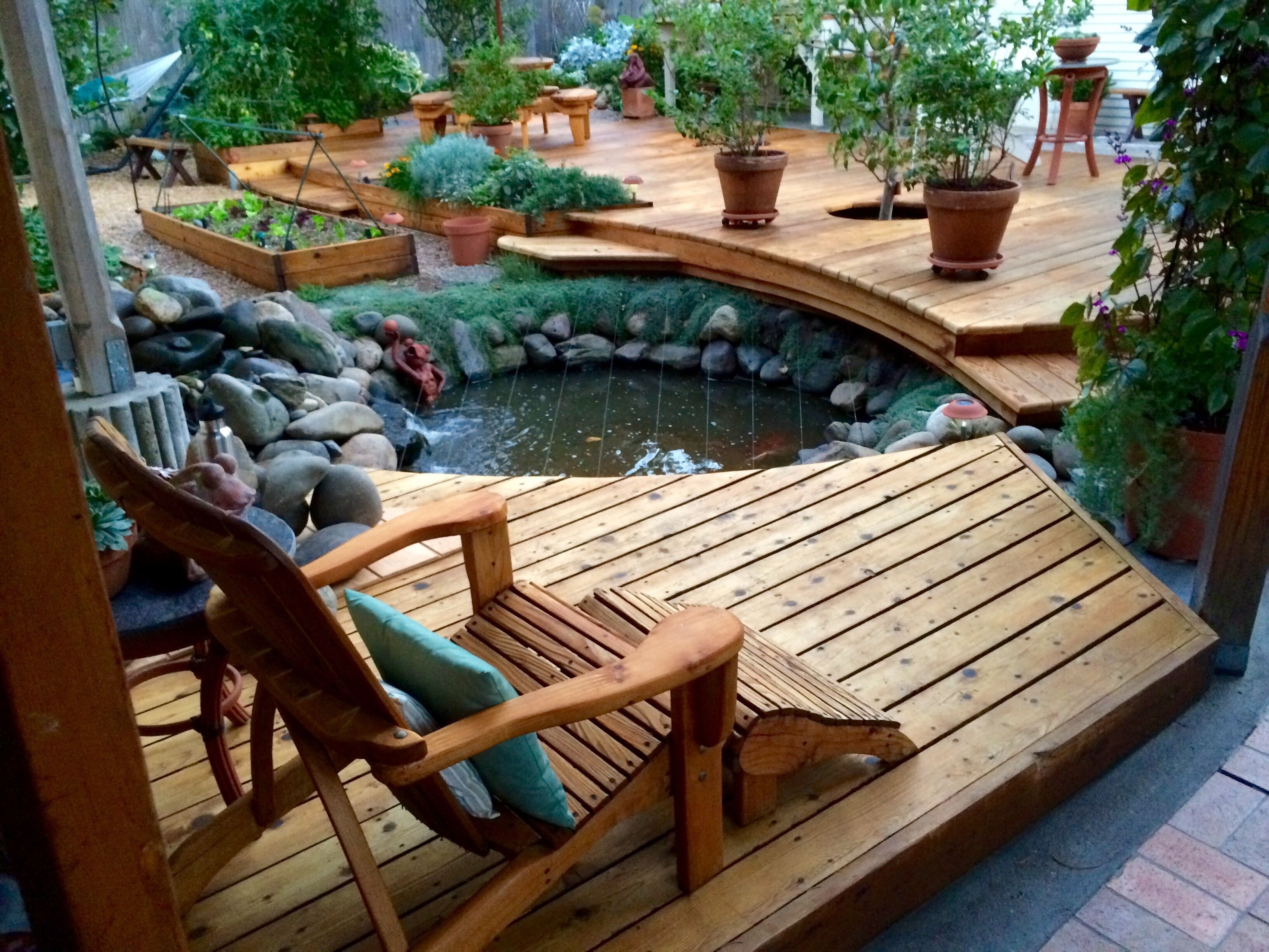Backyard; Koi pond, raised beds with fruit, salad mix and herbs...