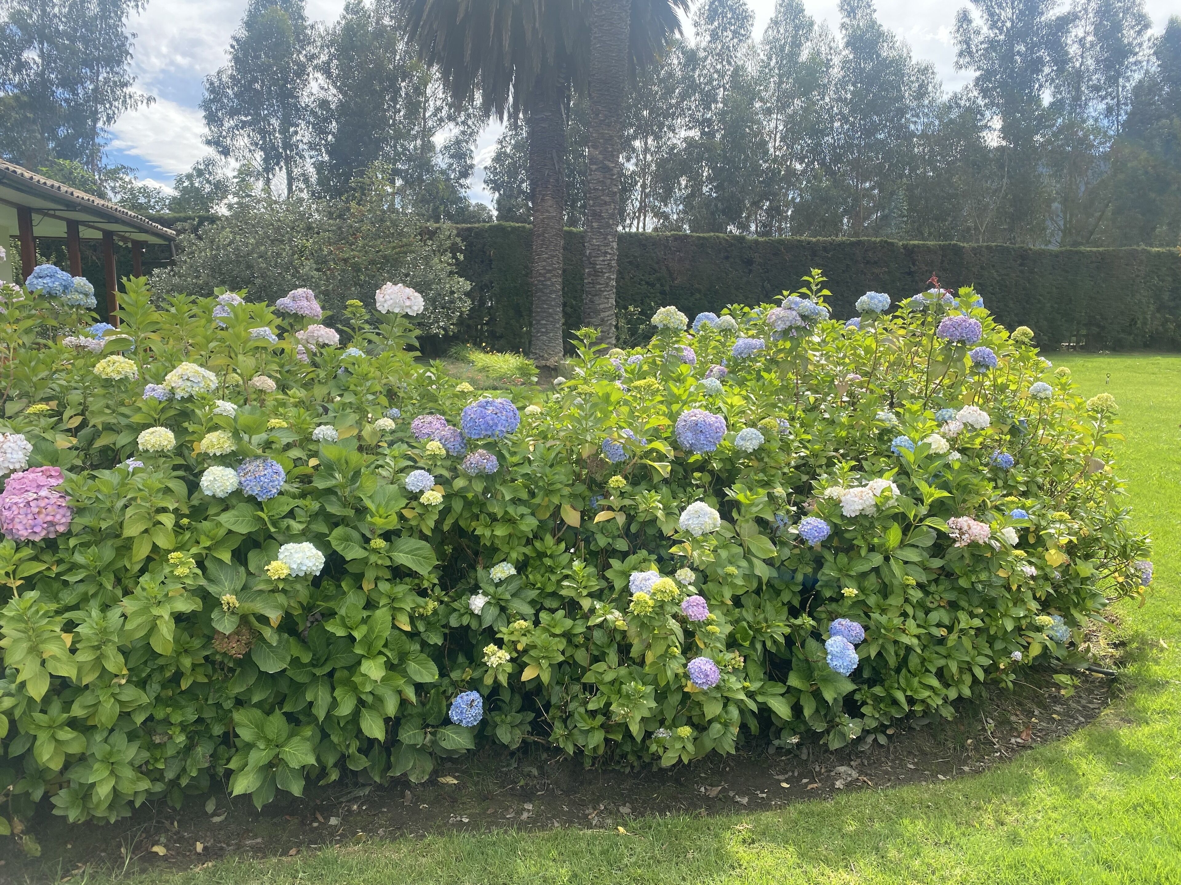 Áreas de la propiedad