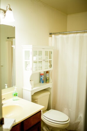 Combined shower/bathtub, hair dryer, towels, soap