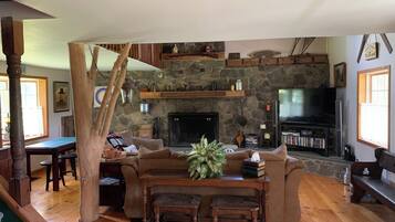 Smart TV, chimenea, videojuegos y reproductor de DVD