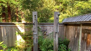 Une clôture en bois avec un portail en métal, entourée d’une végétation luxuriante et de fougères.