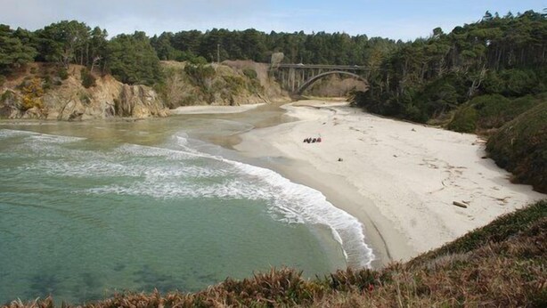 Une plage avec un rivage sablonneux, un petit pont et une forêt dense en arrière-plan.