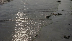 A beach with a clear path leading to the water, surrounded by trees and buildings. - Tranquil And Peaceful Vacation Getaway Just Waiting To Welcome You (Bristol)