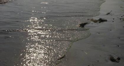 Tranquil And Peaceful Vacation Getaway Just Waiting To Welcome You