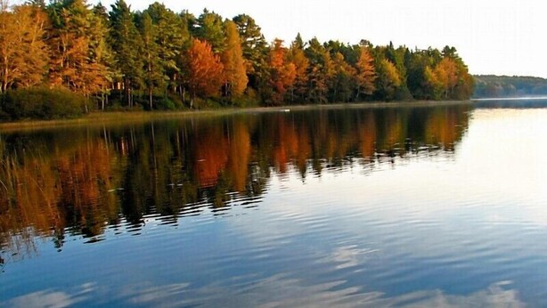 A calm lake with reflections of trees and a clear sky. - Tranquil And Peaceful Vacation Getaway Just Waiting To Welcome You (Bristol)