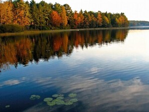 A calm lake with reflections of trees and a clear sky. - Tranquil And Peaceful Vacation Getaway Just Waiting To Welcome You (Bristol)