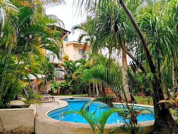 A pool area with a curved design, surrounded by lush tropical vegetation and a building with balconies.