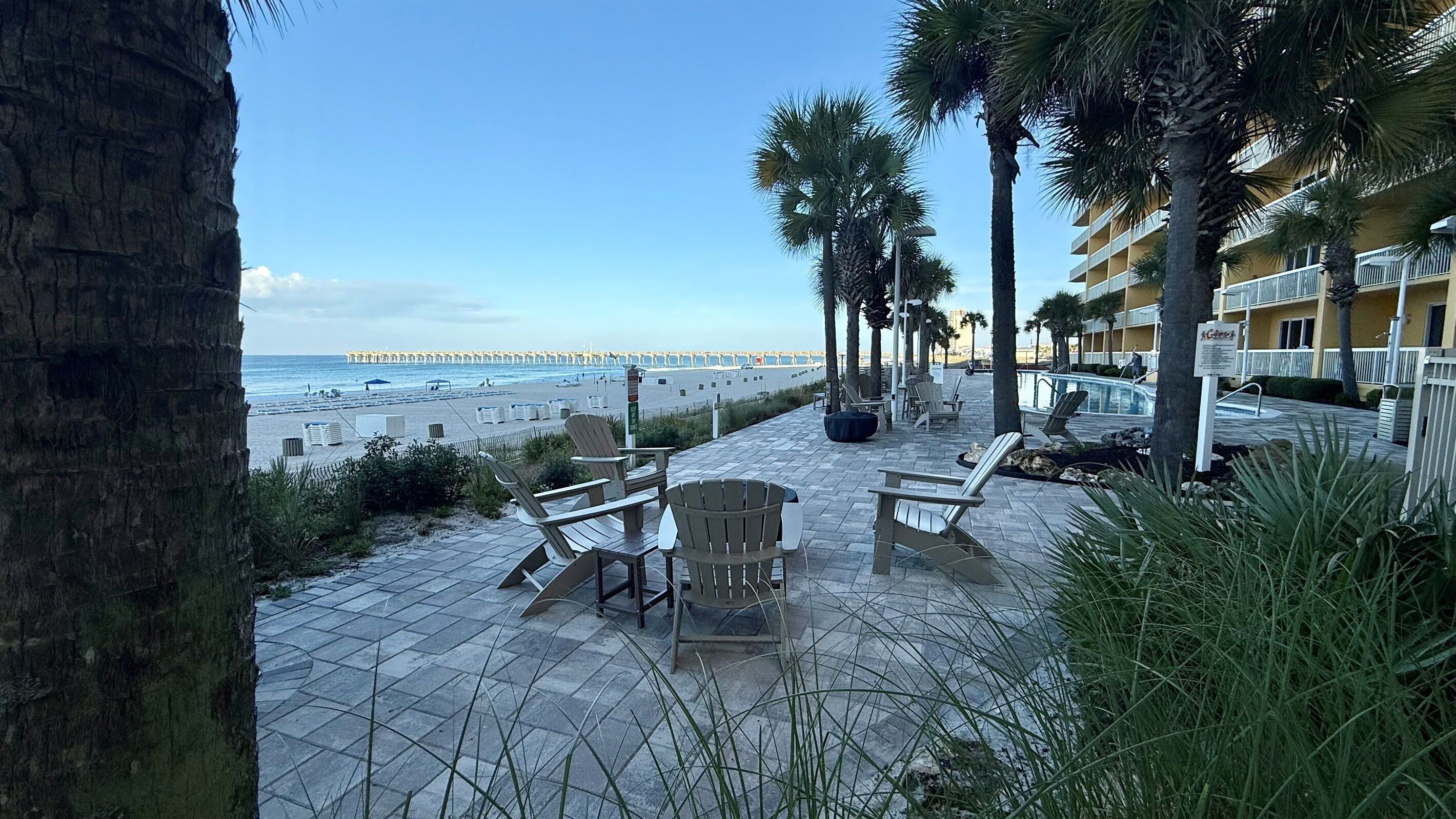 A beachside patio with lounge chairs, a palm tree, and a view of the ocean and pier.