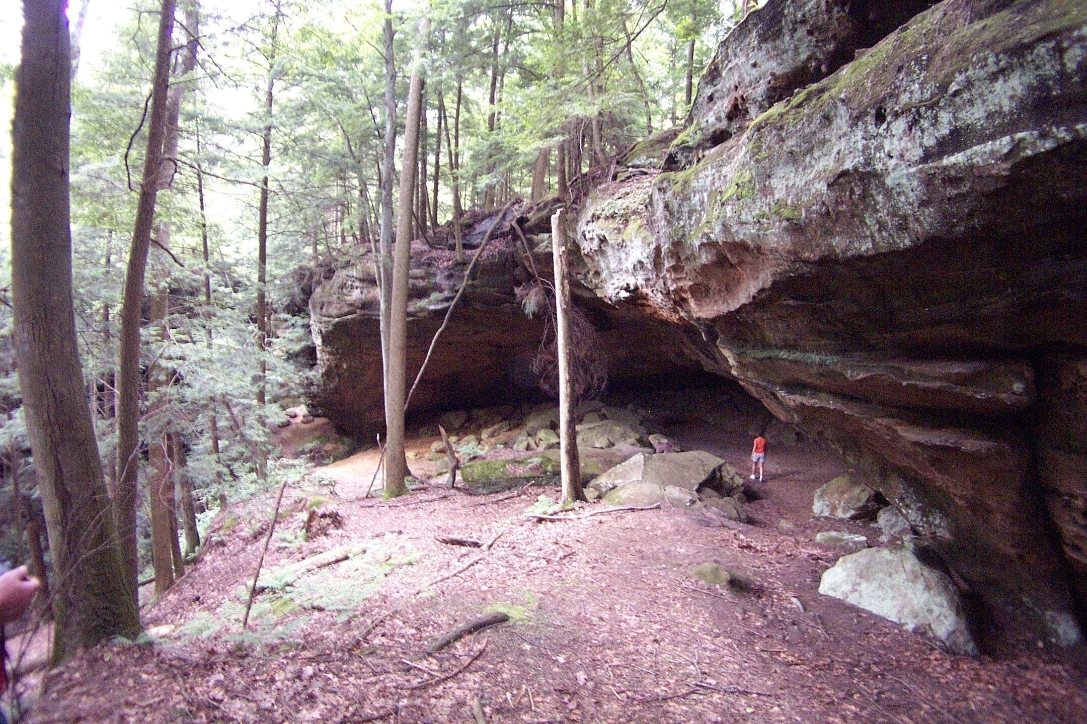 Une zone boisée avec une falaise rocheuse et un sentier.