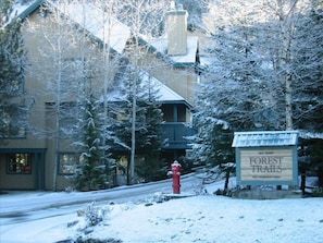 Entrance Into Forest Trails Complex