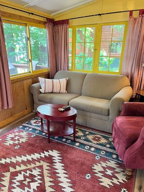 TV, lareira, videoteca