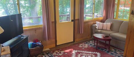 Televisión, chimenea y videoteca