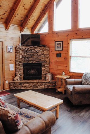 TV, fireplace, DVD player, foosball - Country Life~ Short stroll to Cosby Creek     No contact check in (Cosby)