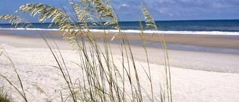 Sulla spiaggia, lettini da mare